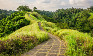 Walking Tour at Campuhan Ridge & Ubud Monkey Forest