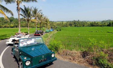 VW Classic : Bali Nature & Culture Adventure