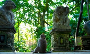 Puri Taman Sari Resort – Kata Package 7D6N