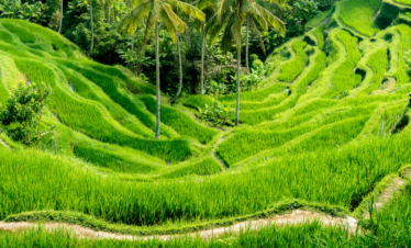 The UNESCO World Heritage Site